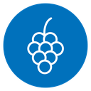 Grapes icon