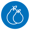 Guava icon