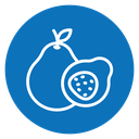 Guava icon