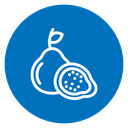 Guava Fruit icon