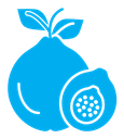 Guava icon