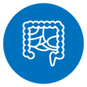 Gut icon