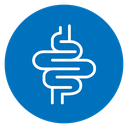 Gut icon
