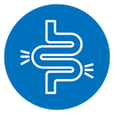 Gut constipation icon