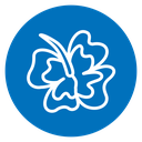 Hawaiian flower icon