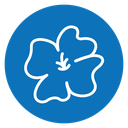 Hawaiian flower icon