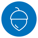 Hazelnut icon