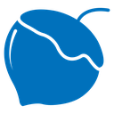 Hazelnut icon