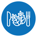Healthy food icon