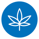 Hemp Leaf Color Filled icon