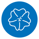 Hibiscus Bloom icon