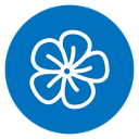 Hibiscus Flower icon