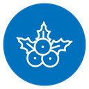 Holly Berries icon