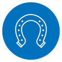 Horseshoe 2 icon