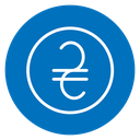 Hryvnia icon