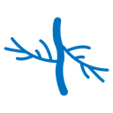 Human artery icon