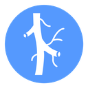 Human artery Color Filled icon
