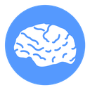 Human brain Color Filled icon