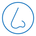 Human nose icon