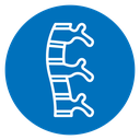 Human spine icon