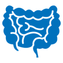 Intestine icon