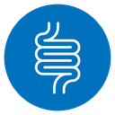 Intestine icon
