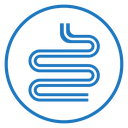 Intestines Color Filled icon