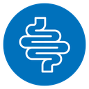 Intestines icon