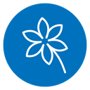 Jasmine 2 icon