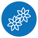 Jasmine icon