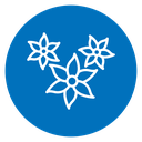 Jasmine Flowers icon