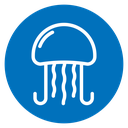 Jellyfish icon