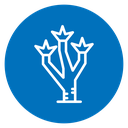 Joshua tree 2 icon