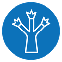 Joshua tree icon