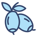 Jujube icon