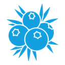 Juniper icon