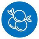 Juniper icon