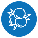 Juniper icon