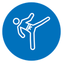 Karate fighter icon