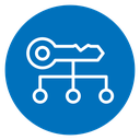 Key factor Color Filled icon