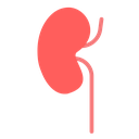 Kidney 2 icon