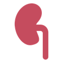 Kidney icon