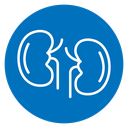 Kidneys 2 icon