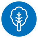 Kimchi 2 icon