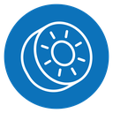 Kiwi icon