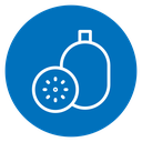 Kiwi icon