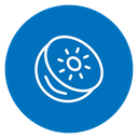 Kiwi 2 icon