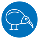 Kiwi bird 2 icon