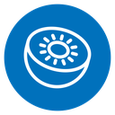 Kiwi Fruit Slice icon