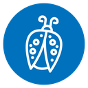 Ladybug icon